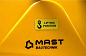 Вибронога MAST Bautechnik MT-RN80