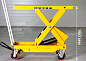Стол грузоподъемный гидравлический Yi-Lift BS100