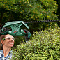 Кусторез электрический BOSCH EasyHedgeCut 55 (0600847C02)