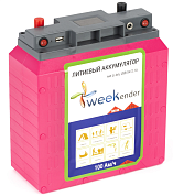 Литий-ионный аккумулятор Weekender 100 Ah 12V + зарядное устройство