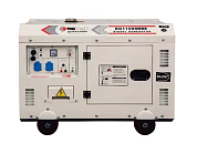 фото Генератор дизельный TMG DG 11000MSE (1ф 8 кВт) Генератор дизельный TMG DG 11000MSE (1ф 8 кВт)