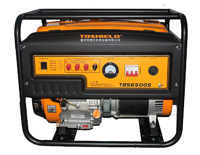 Бензиновый генератор EF Power TBS6500S