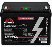 Батарея аккумуляторная Vitals ALFP-12100abd